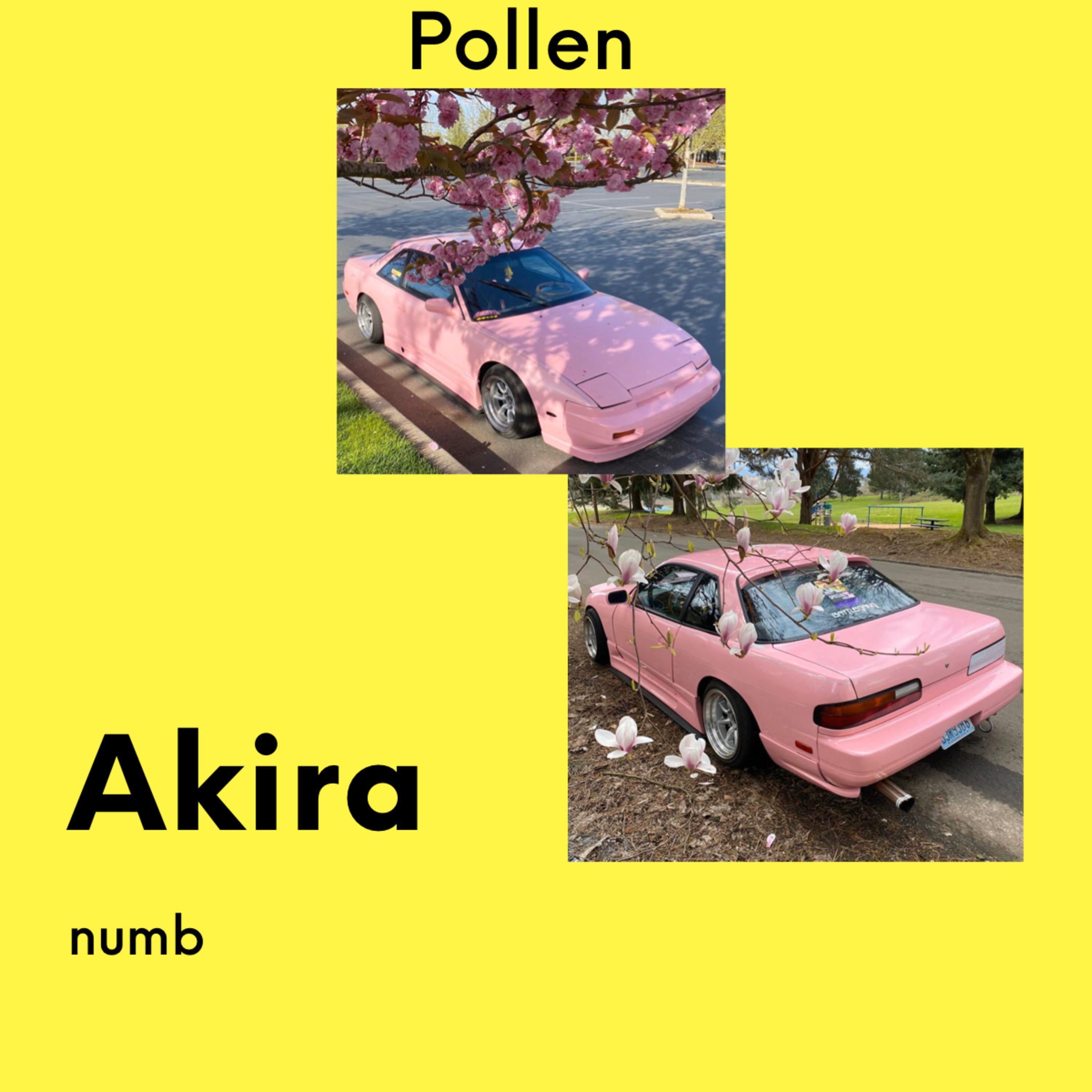akira
