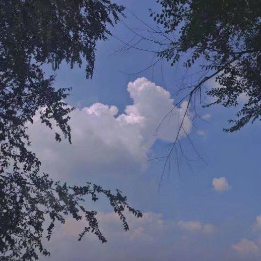 精选|纯音乐小窝