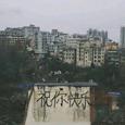 IMYeah歌手图片