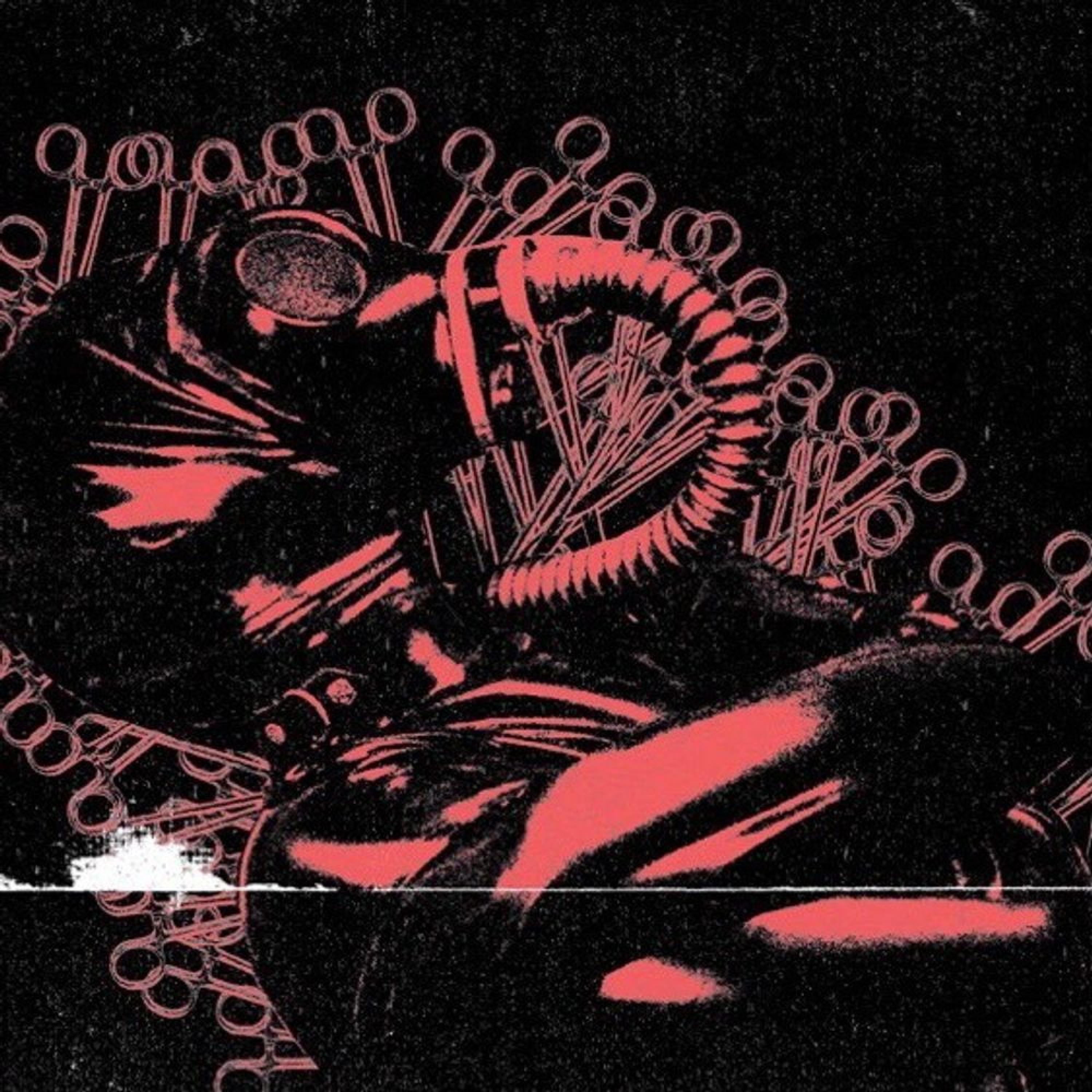 Necropsy (feat. Takeer)