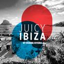 Juicy Beach - Ibiza 2017 (Selected by Robbie Rivera)