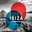 Juicy Beach - Ibiza 2017 (Selected by Robbie Rivera)专辑