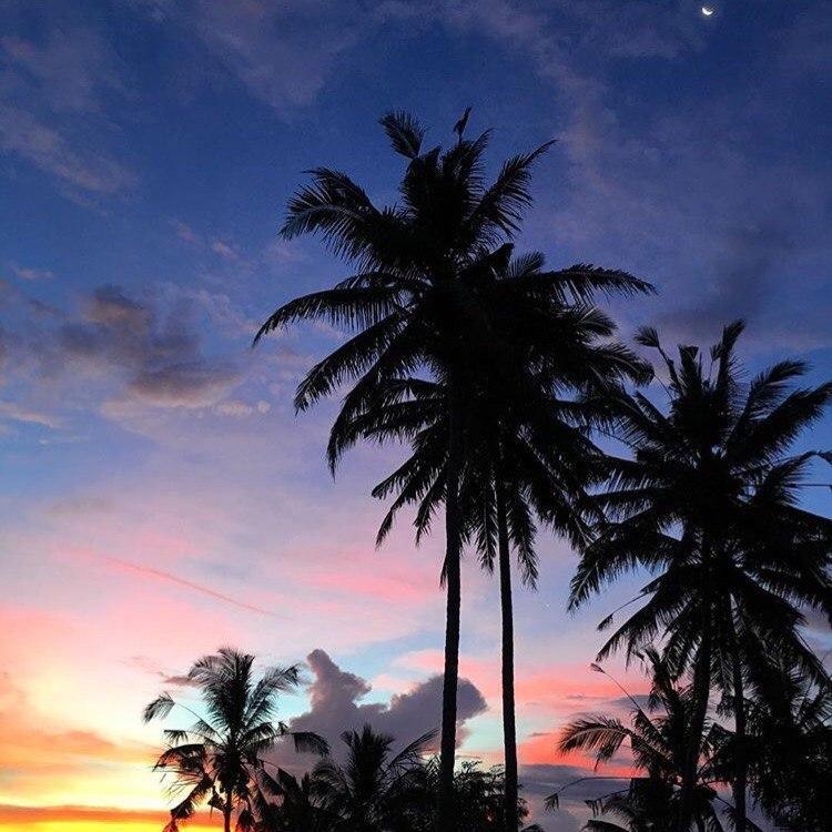 Mandee-Superstar（蓝天 （伴奏） remix）