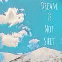 DREAM IS NOT SHIT专辑