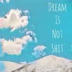 DREAM IS NOT SHIT专辑