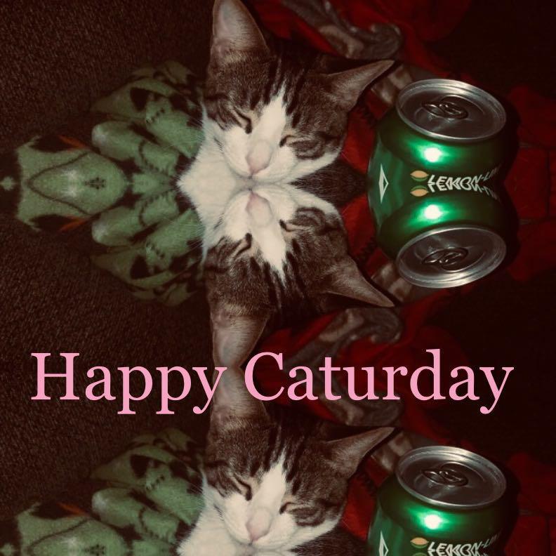 Happy Caturday专辑