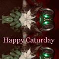 Happy Caturday