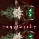 Happy Caturday专辑