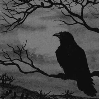 没有人和你怀揣着同样的孤独感