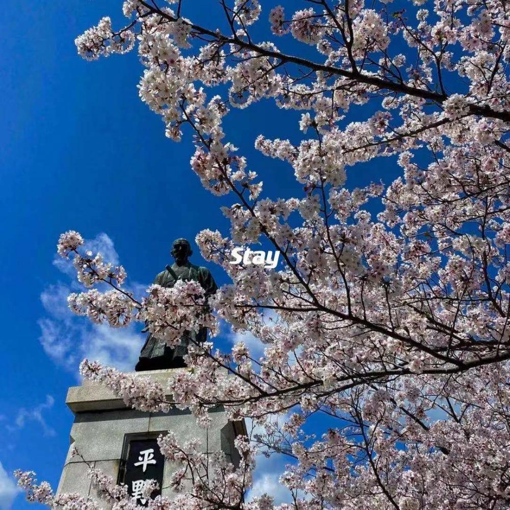 Stay