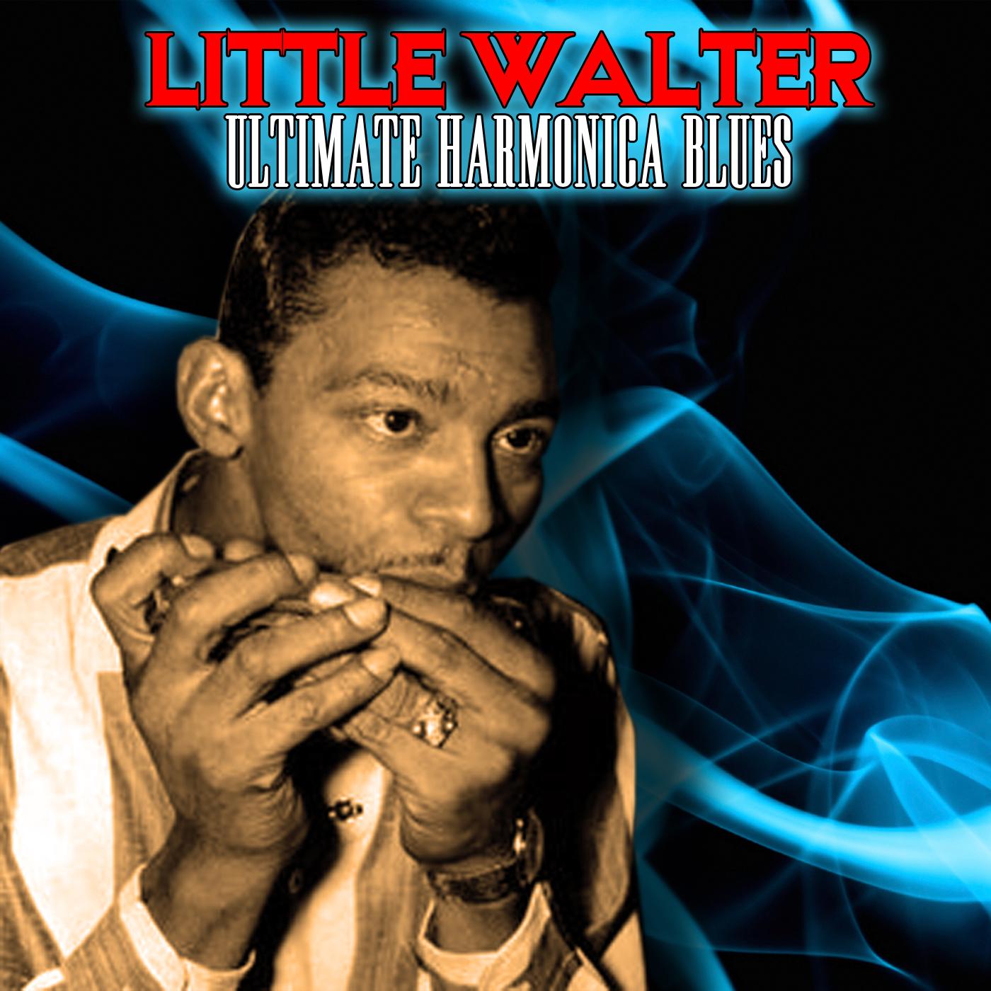 nobody but you - little walter - 单曲 - 网易云音乐