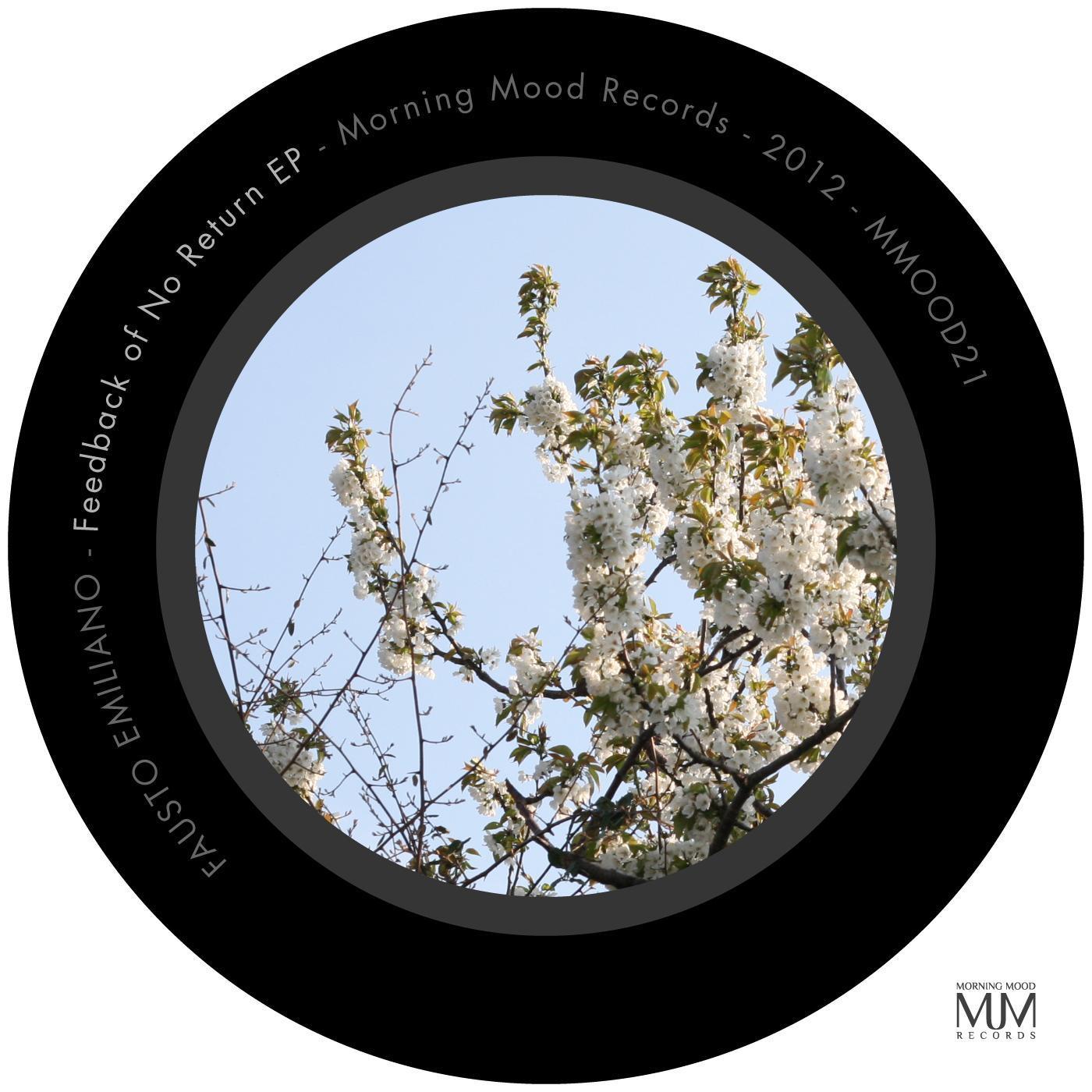 Feedback of No Return EP