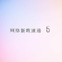 网络恋歌（男声DJ伴奏）