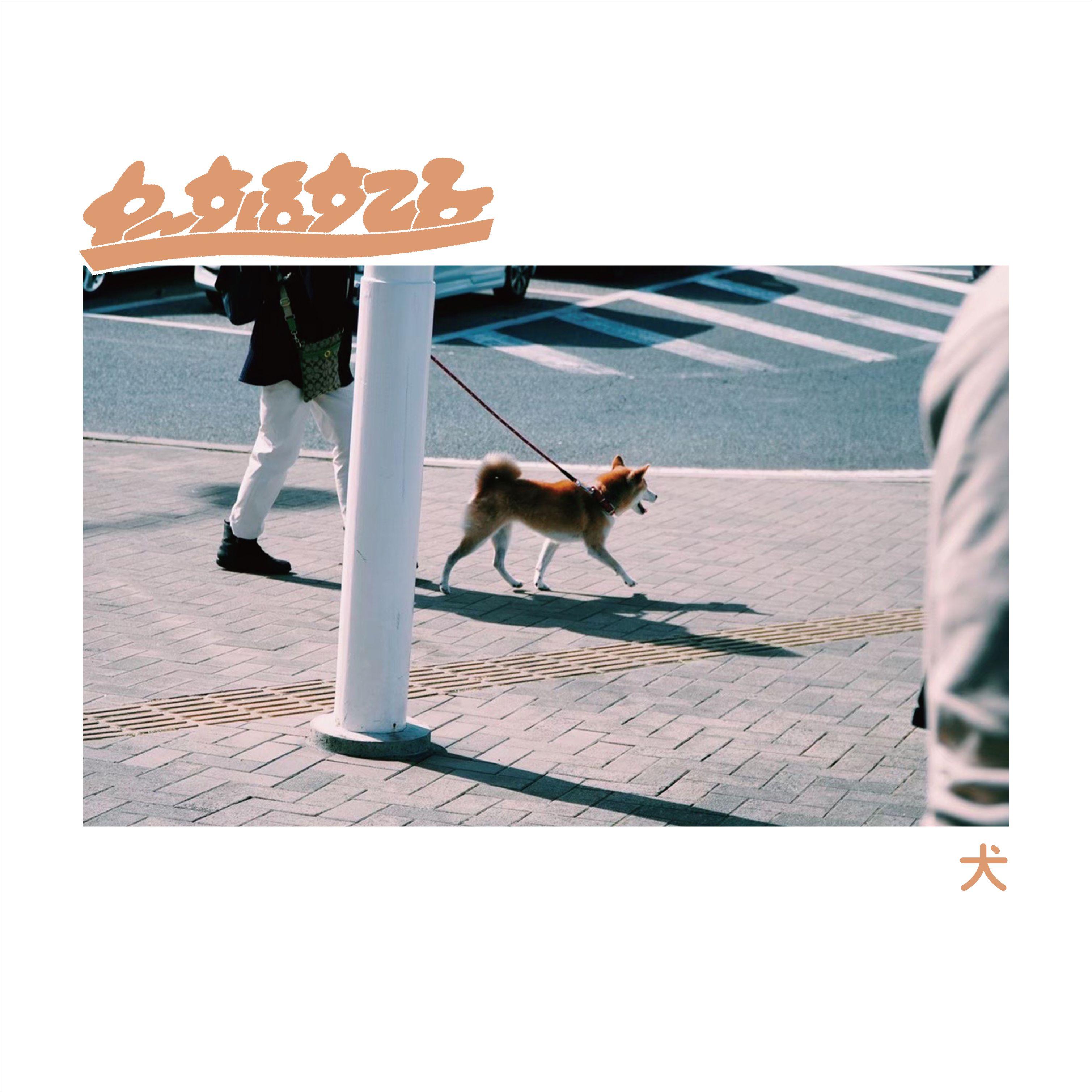 犬