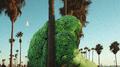 Broccoli专辑