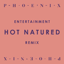 Entertainment (Hot Natured Remix)专辑