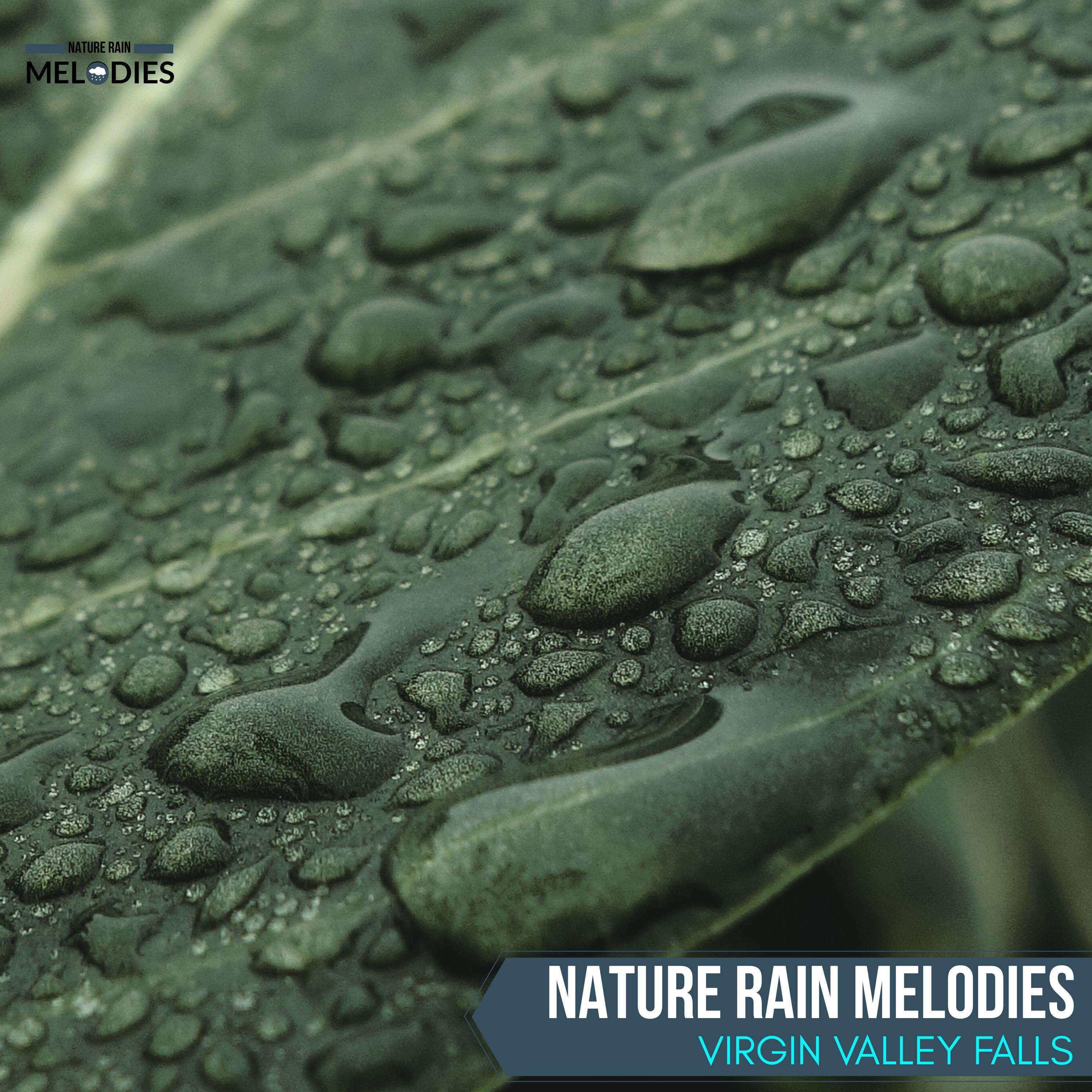 Organic Drop Nature Sounds - Pattering Rain Heavy Downpour