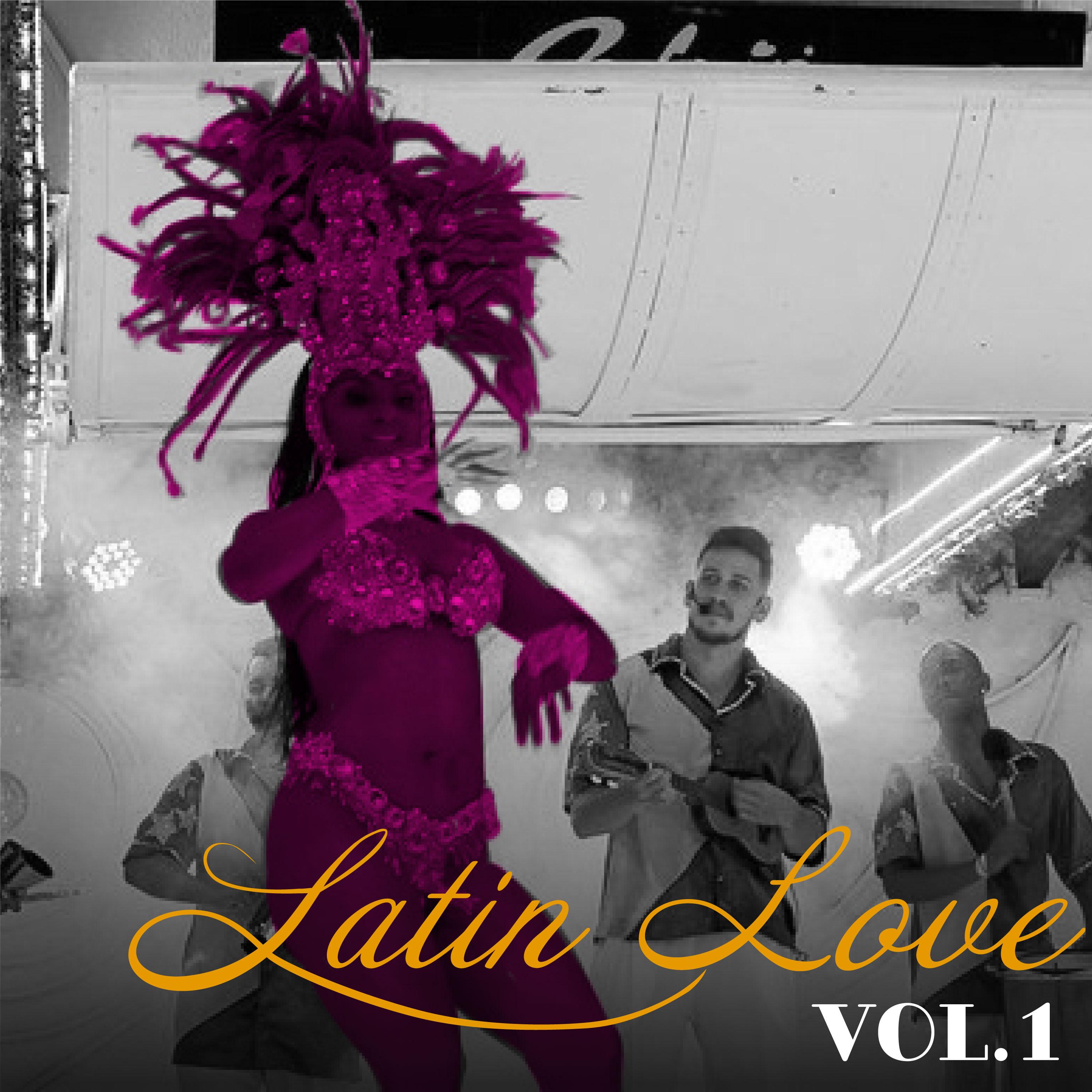 Latin Love, Vol. 1
