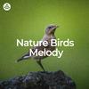 Nature And Bird Sounds - Birdsong for Inner Peace