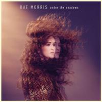 原版伴奏  Under The Shadows - Rae Morris (karaoke) [有和声]