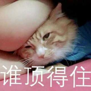 谁让我是白泽呢