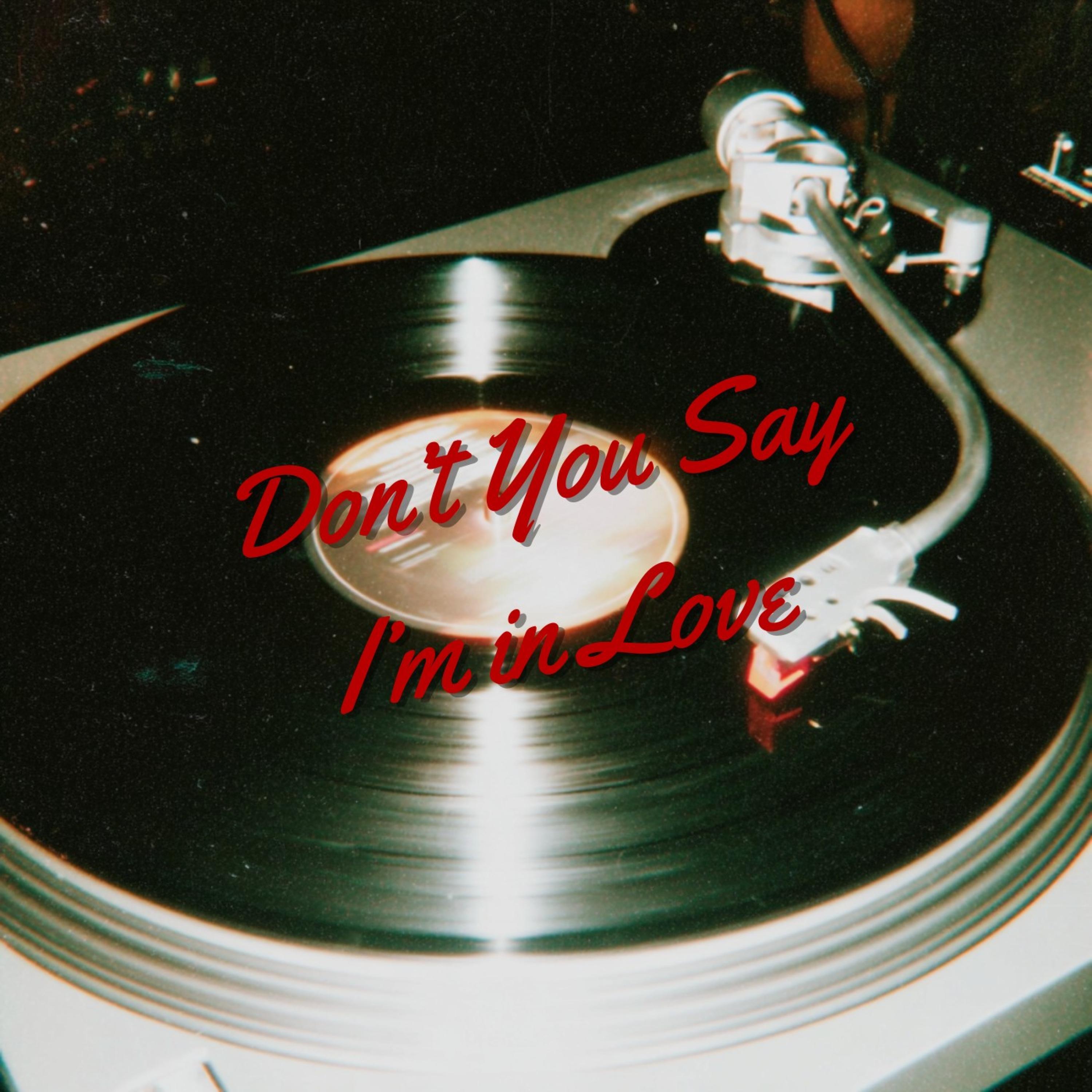 Don't You Say I'm in Love