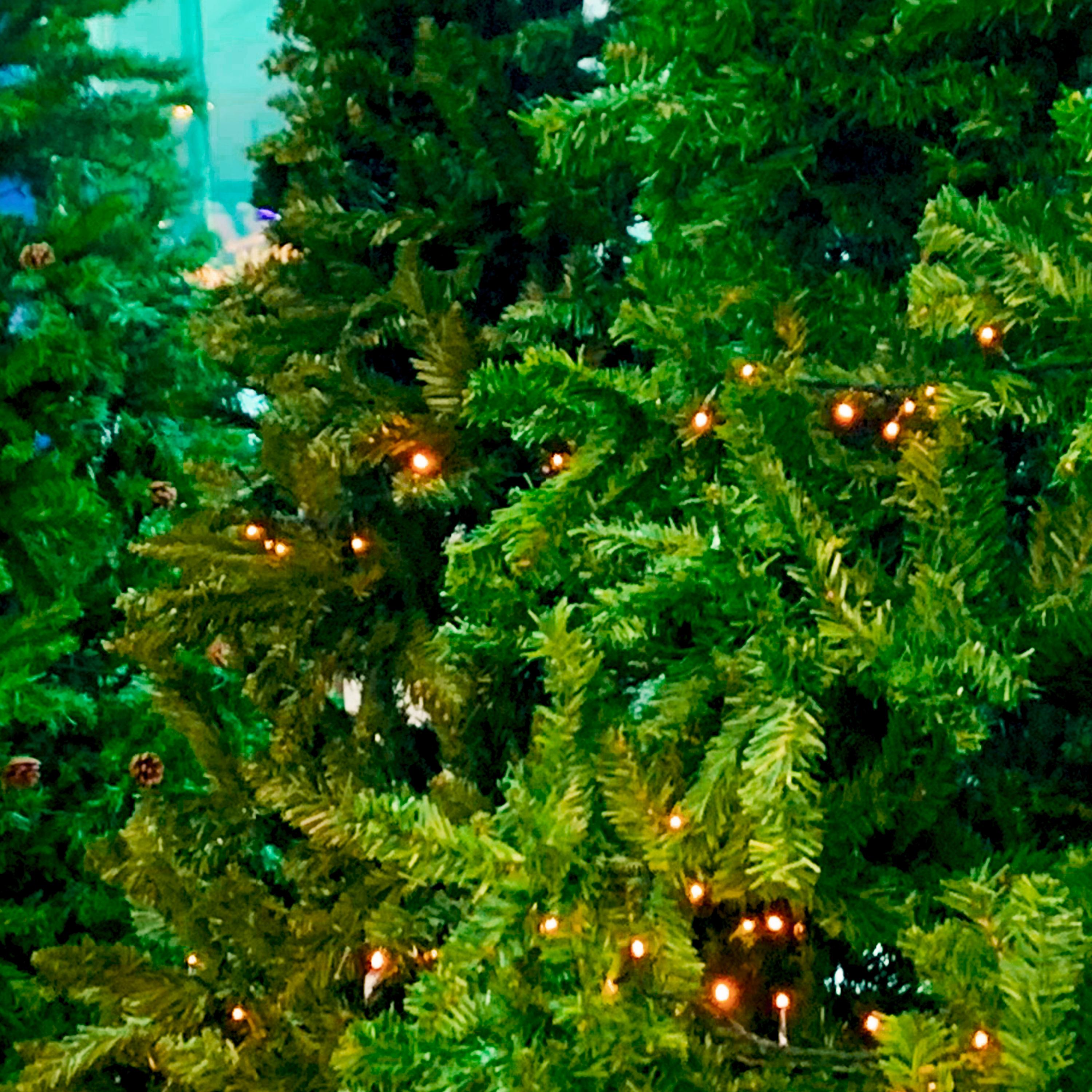 Santa Claus is coming