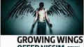 Growing Wings (Offer Nissim Remix) - Single专辑