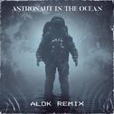 Astronaut In The Ocean (Alok Remix)专辑