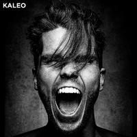 Kaleo - I Want More (Instrumental) 无和声伴奏