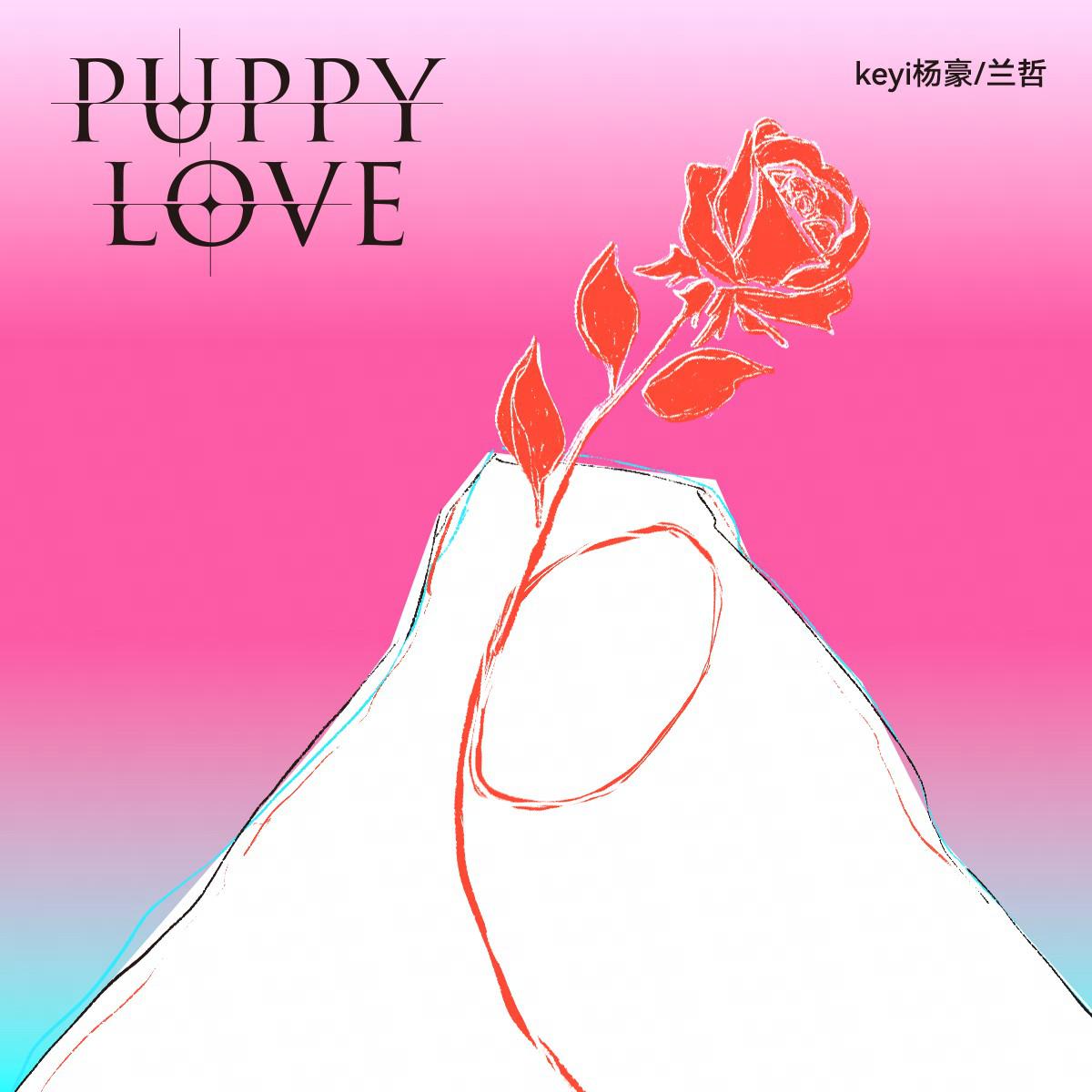 Puppy Love专辑