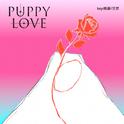 Puppy Love专辑