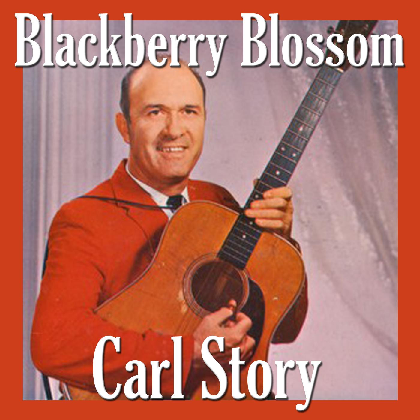 Blackberry Blossom