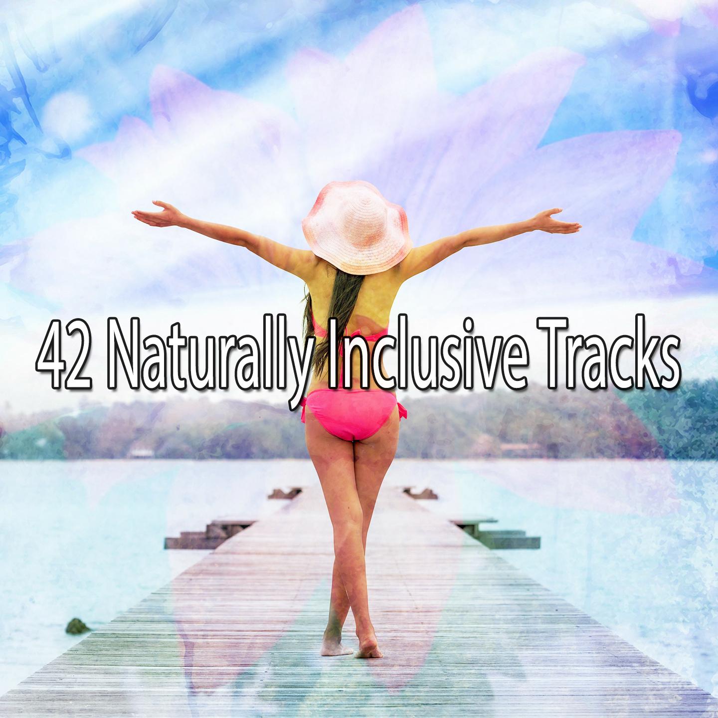 42 Naturally Inclusive Tracks专辑