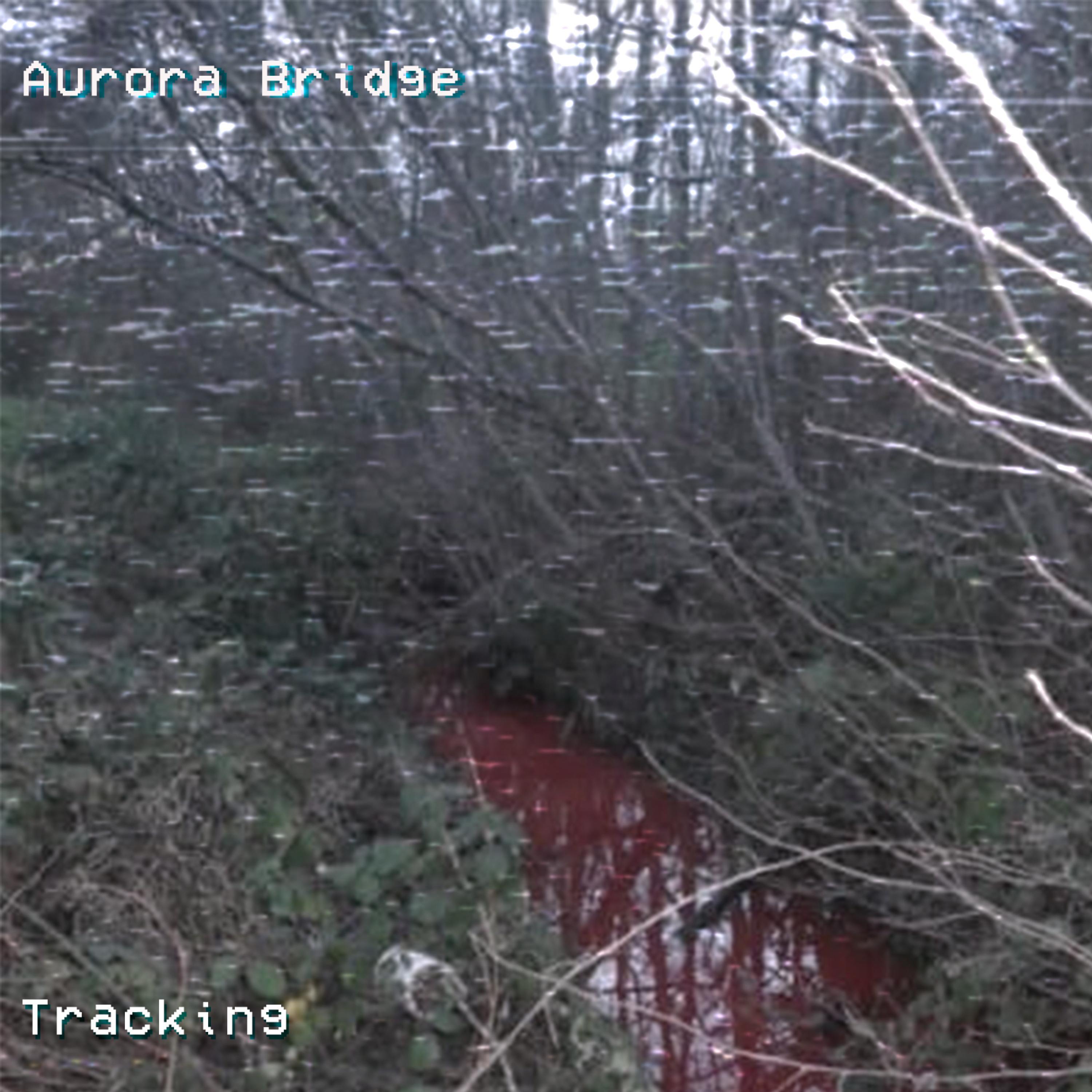 Tracking