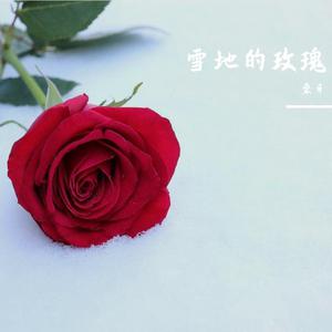 雪地玫瑰 （降7半音）