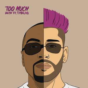 Zayn - Too Much （降7半音）