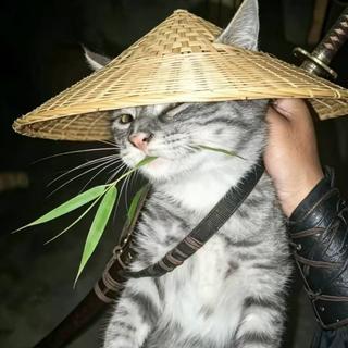 江湖｜咪的天，这就是江湖吗