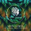 Leon Capeta - La Danse de Flamingo (Somelee Remix)