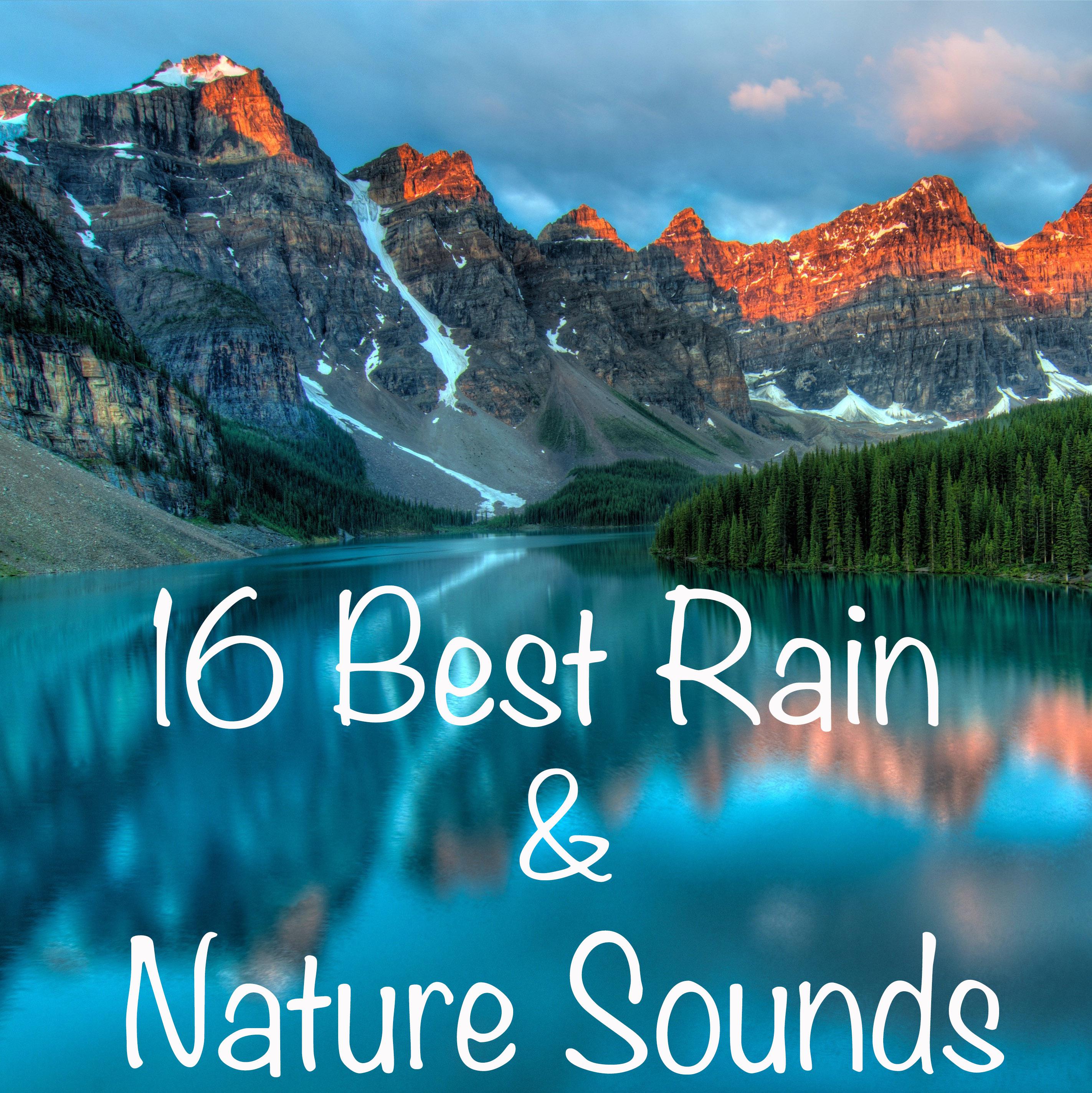 16 Best Rain And Nature Sounds with no Fades专辑