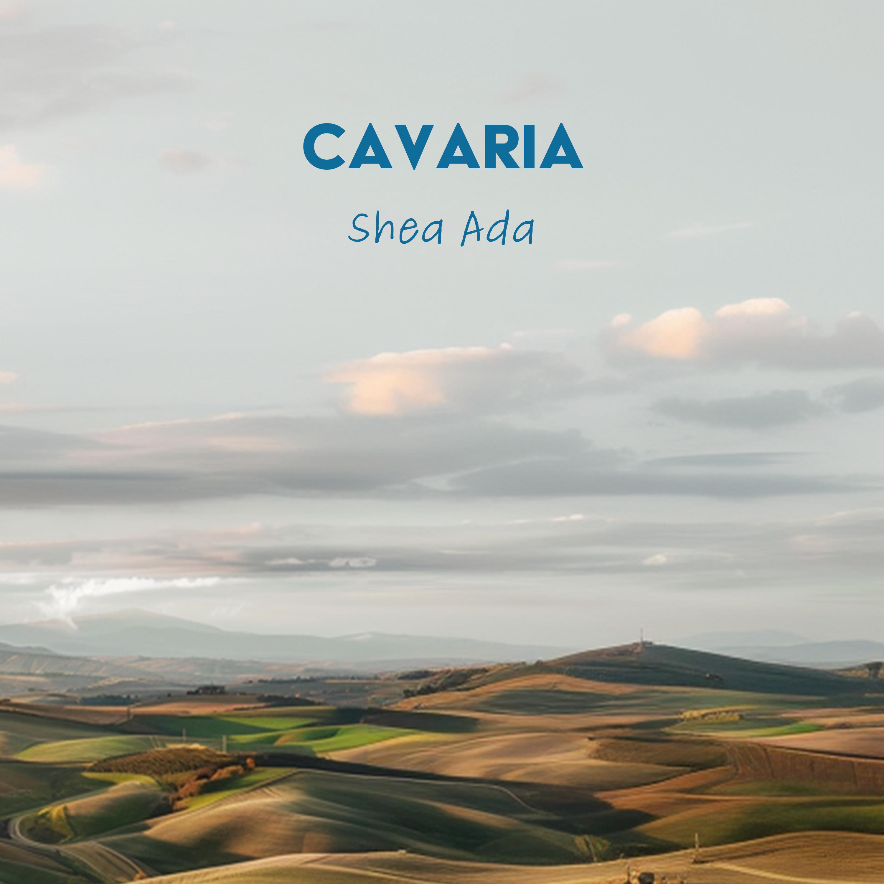 Cavaria