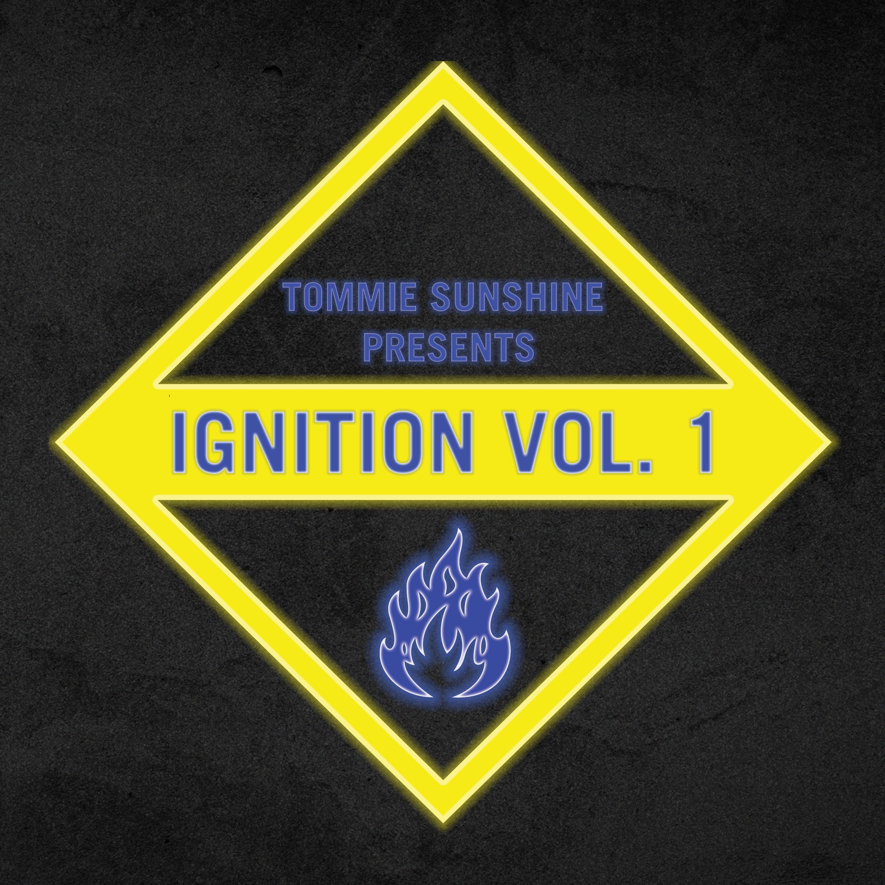 Tommie Sunshine - House Train (Original Mix)