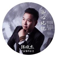 陈晓杰-痴心记忆(DJ终极版)