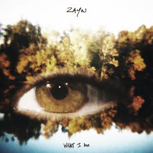 ZAYN - What I Am (Pre-V) 带和声伴奏 （降8半音）