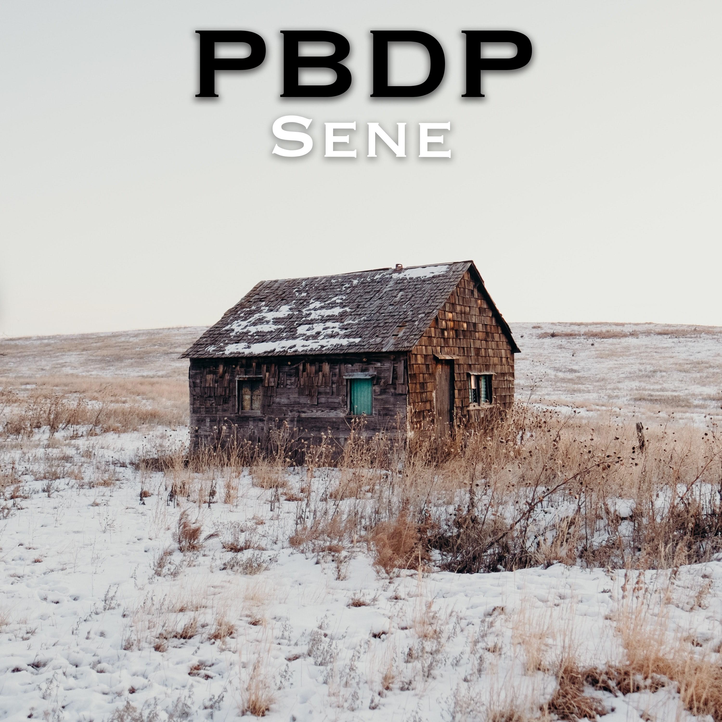 PBDP