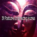 29 Posture Embracing Auras专辑