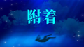 附着专辑