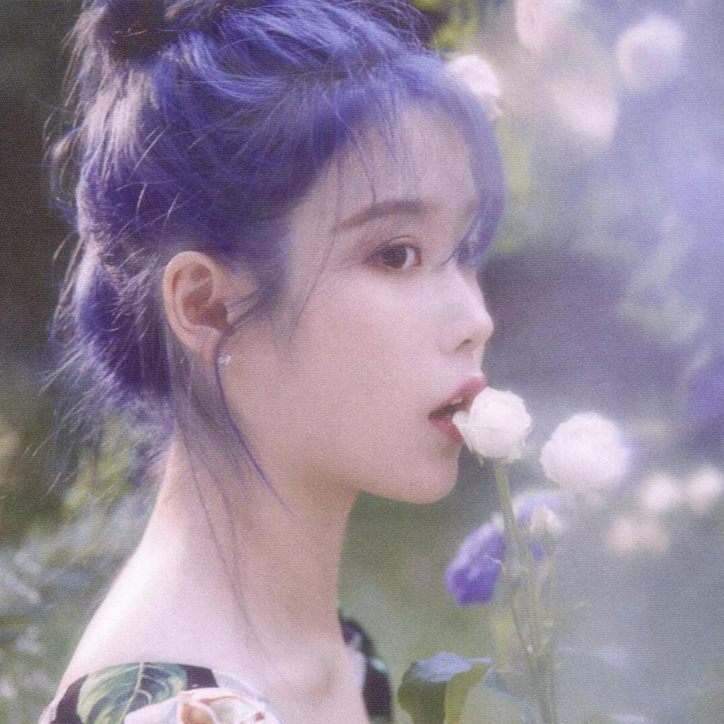 韩｜八月，我把自己藏进花里