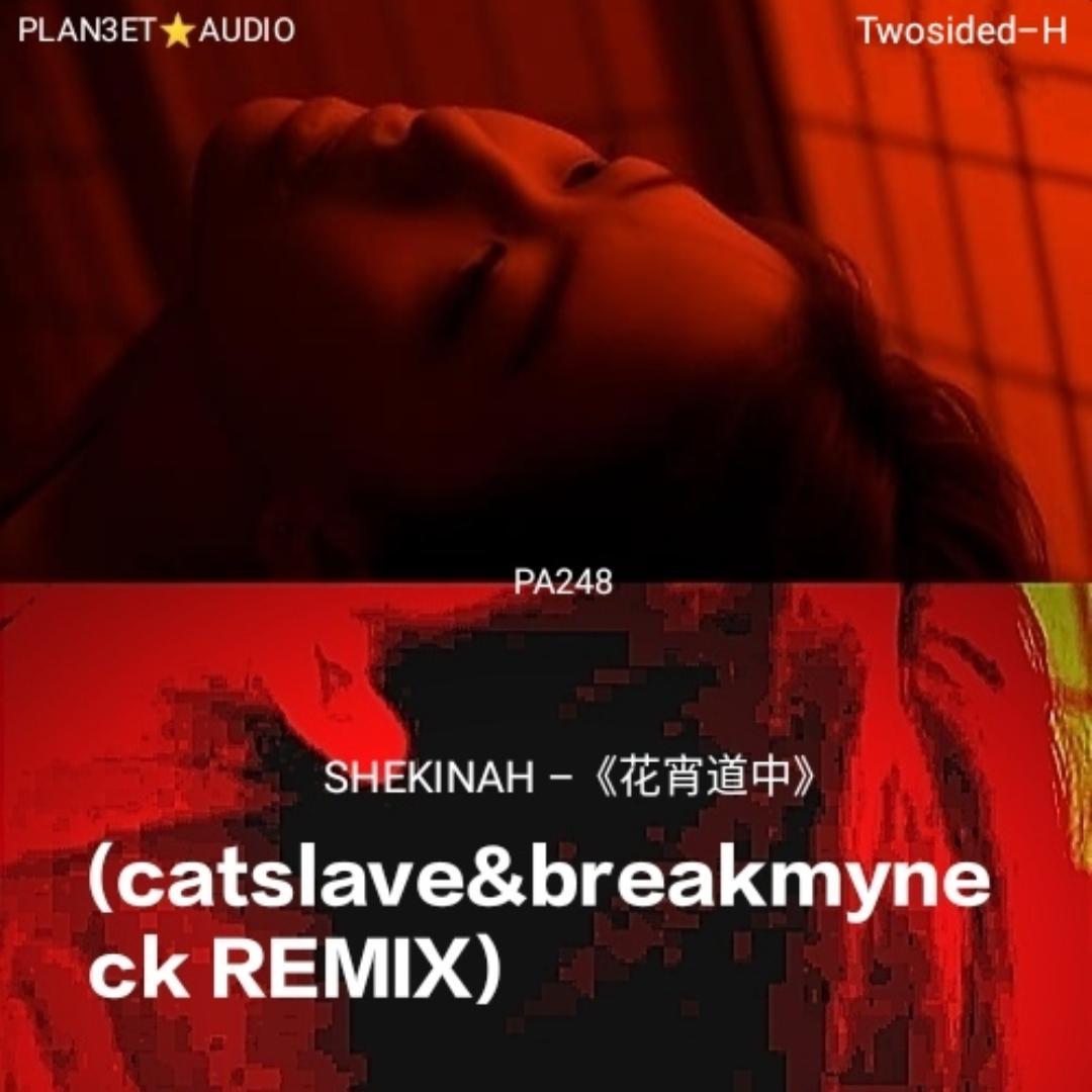 Hua xiao dao zhong(catslave&breakmyneck remix)