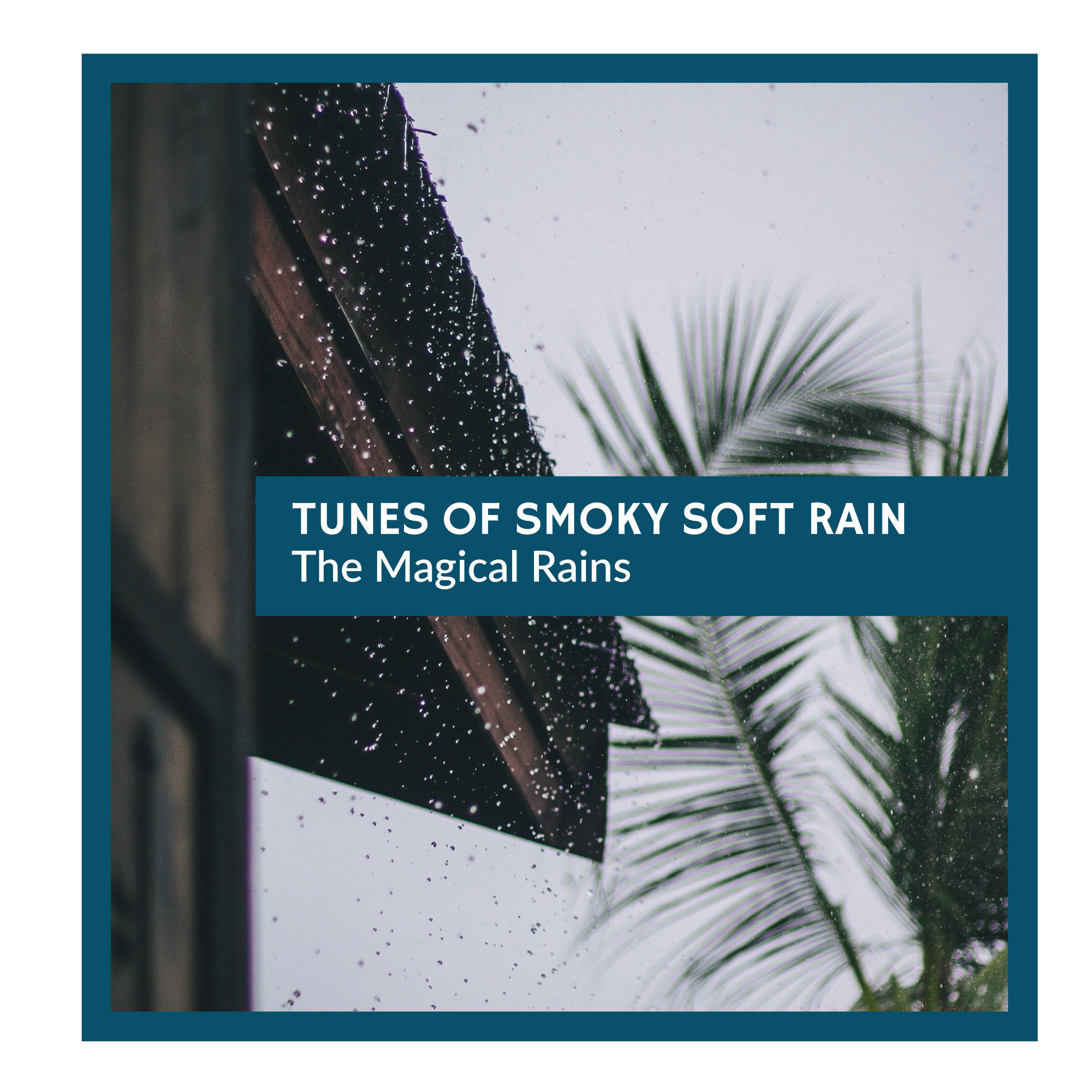 Forest Rain Music Studio - Soothing Soft Rain